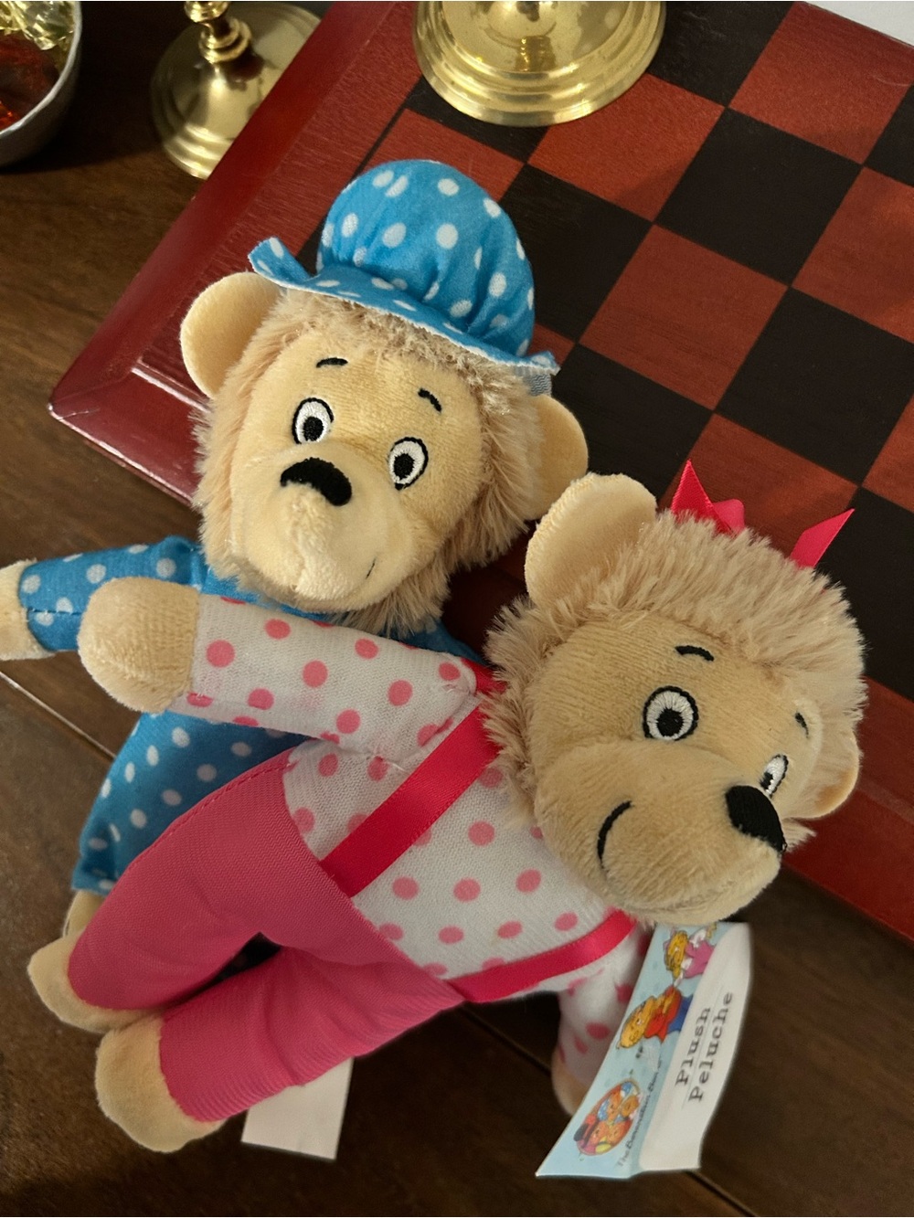 PBS Berenstein Bears Sister and Mama Bear